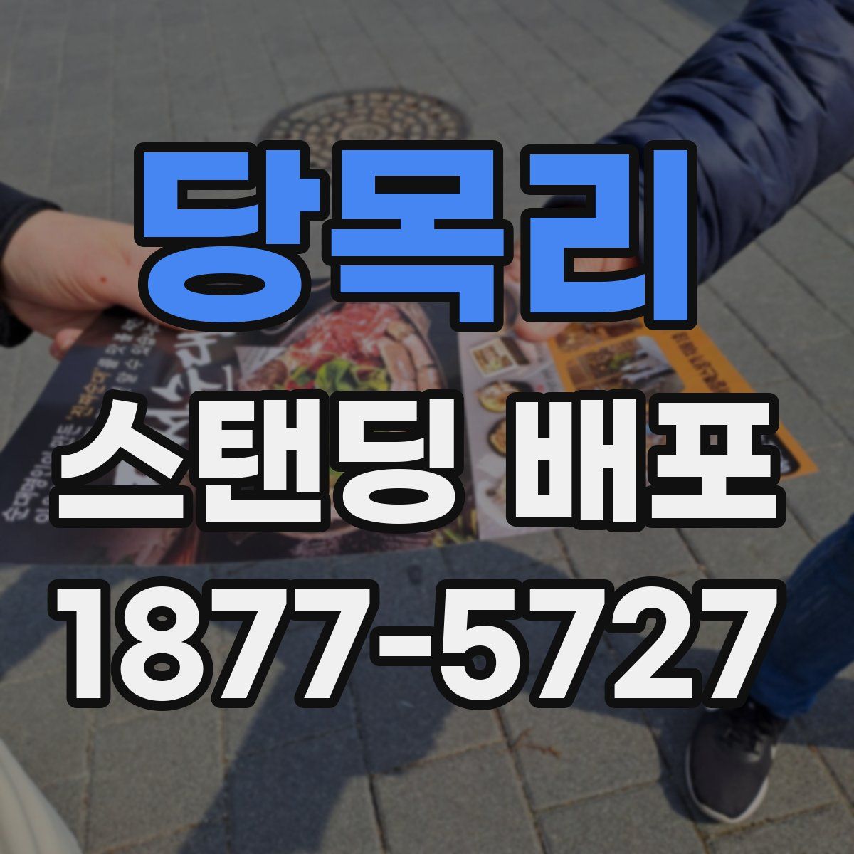 당목리 스탠딩 배포