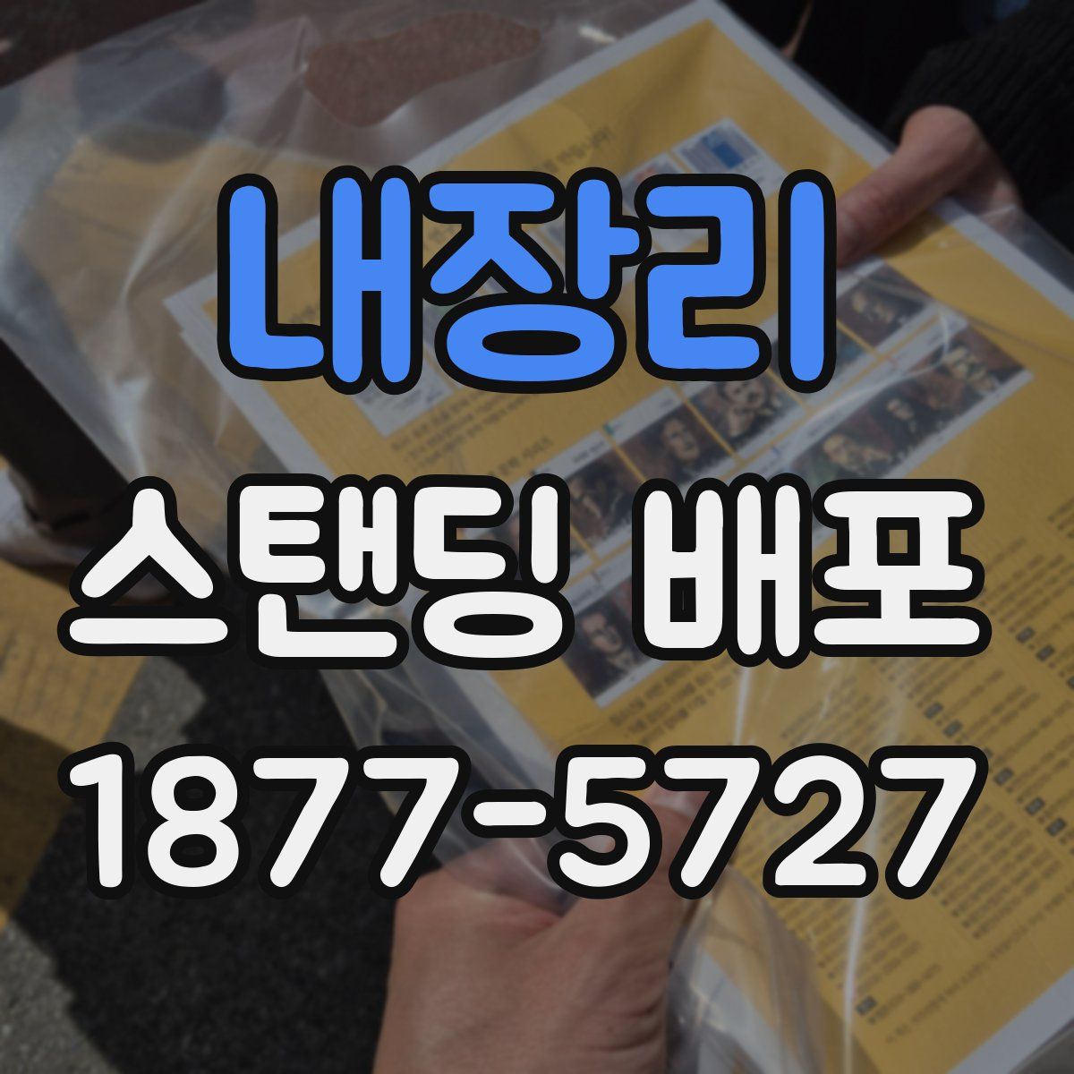 내장리 스탠딩 배포