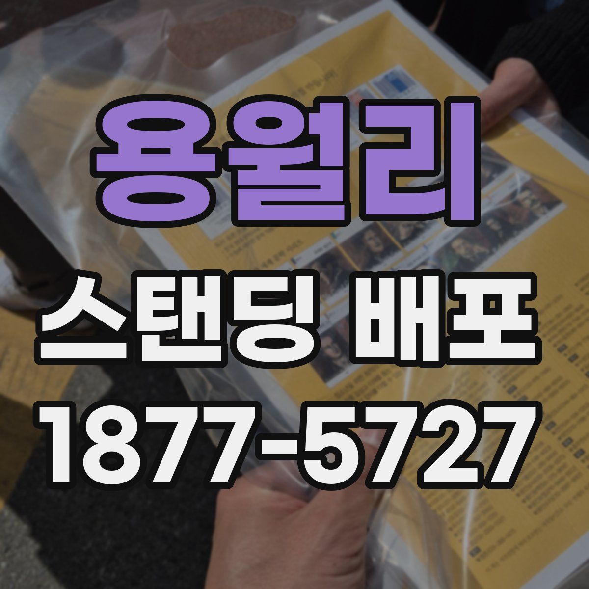 용월리 스탠딩 배포