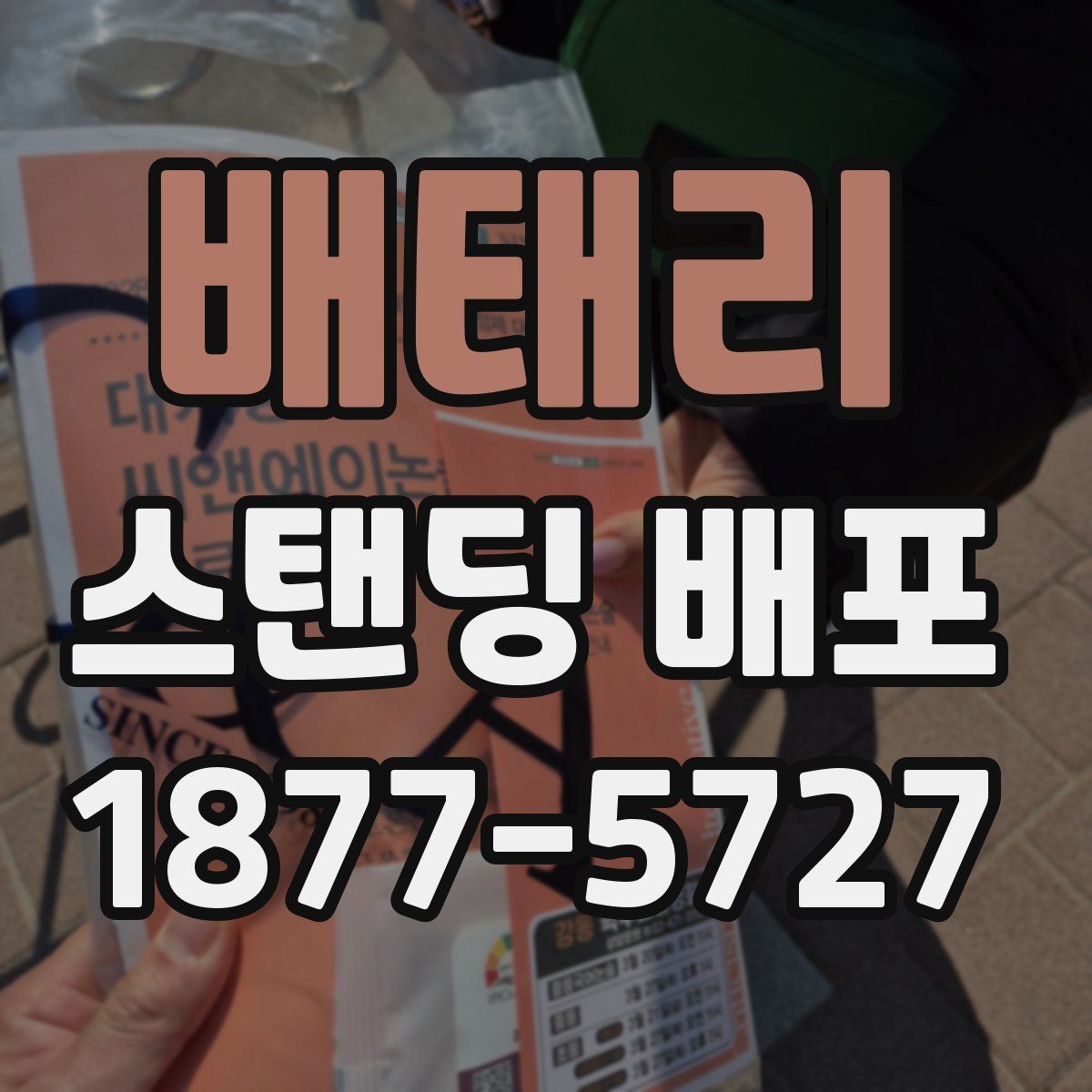 배태리 스탠딩 배포