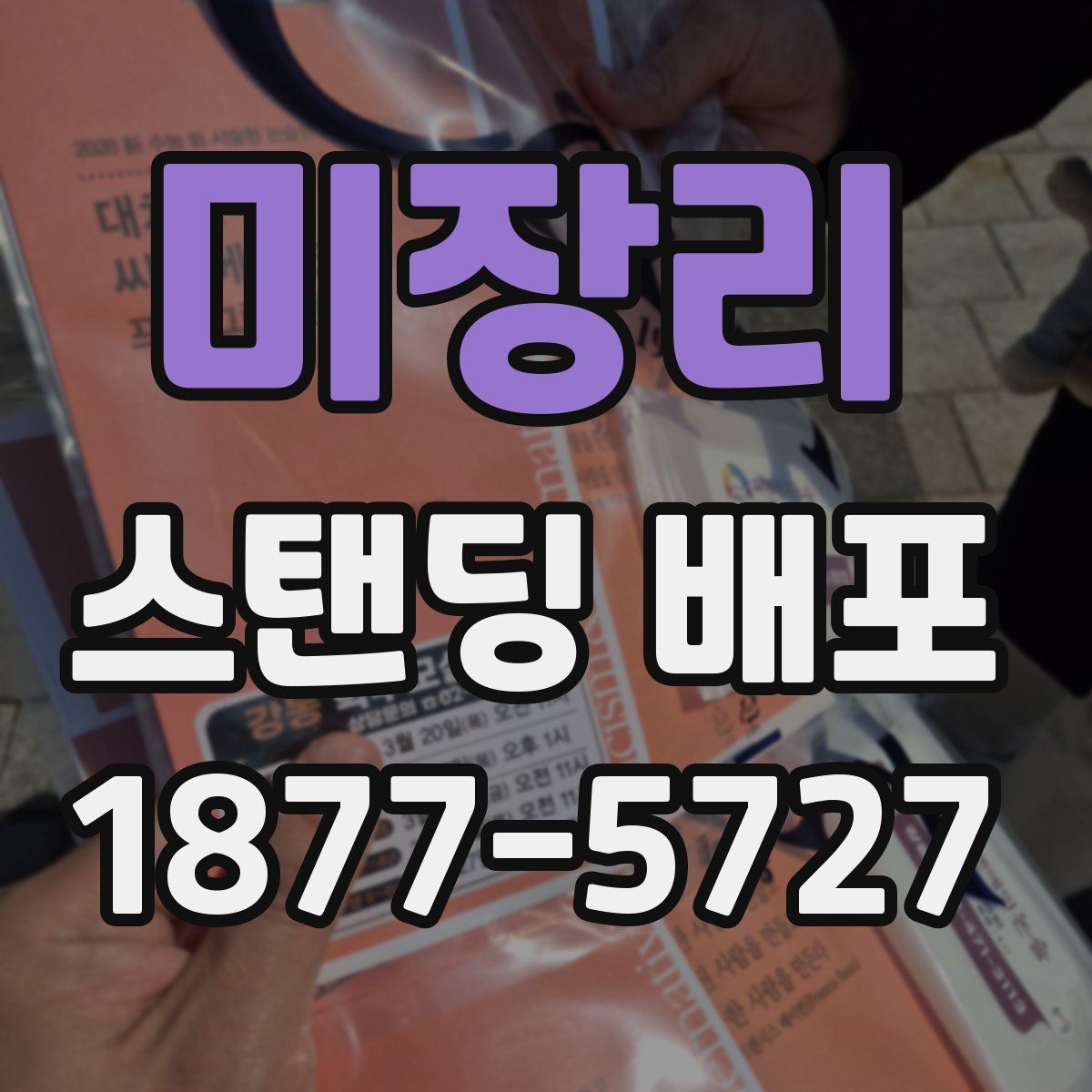 미장리 스탠딩 배포