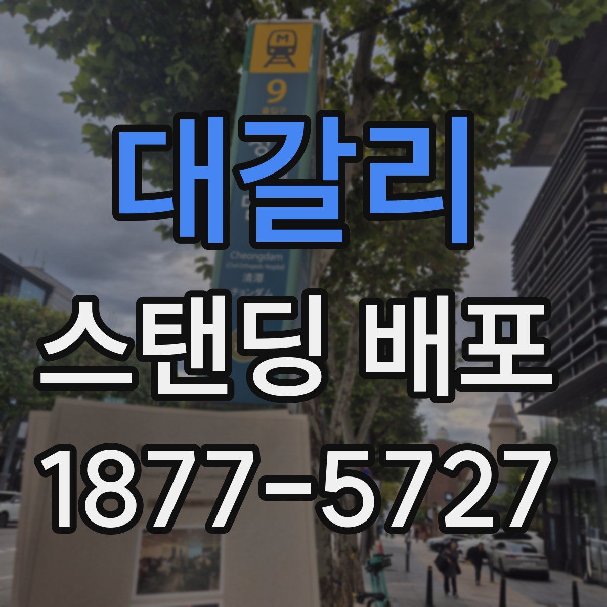대갈리 스탠딩 배포