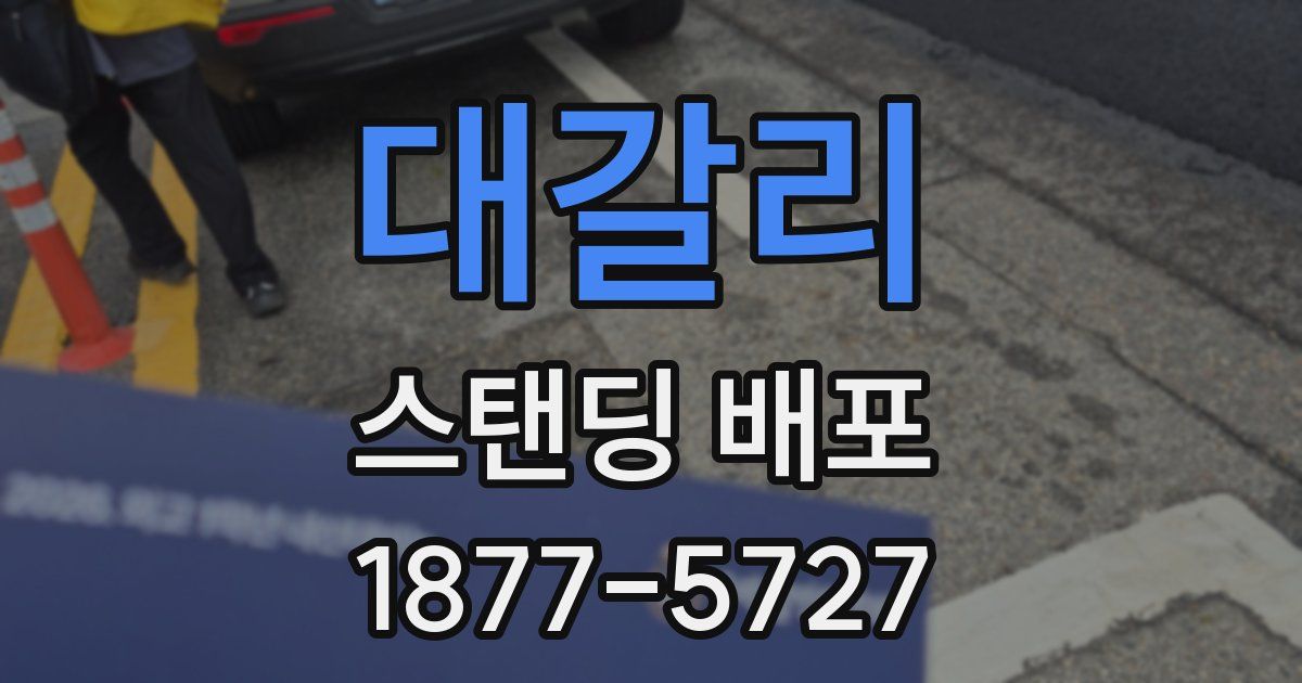 대갈리 스탠딩 배포