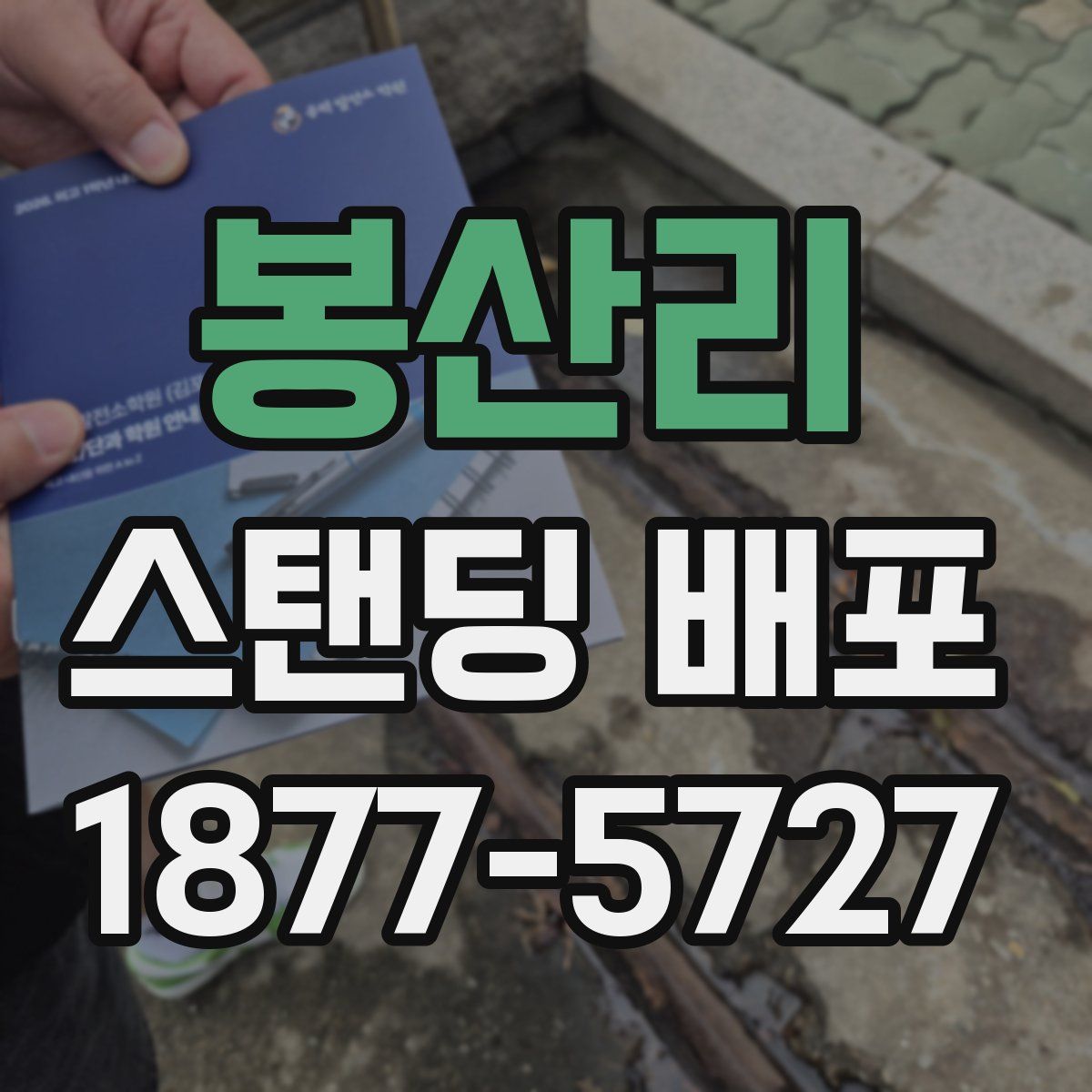 봉산리 스탠딩 배포