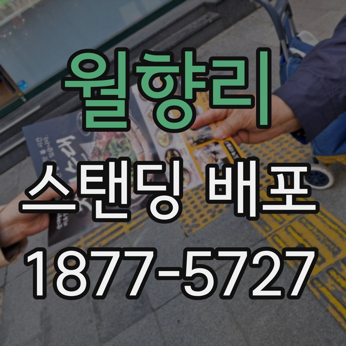 월향리 스탠딩 배포