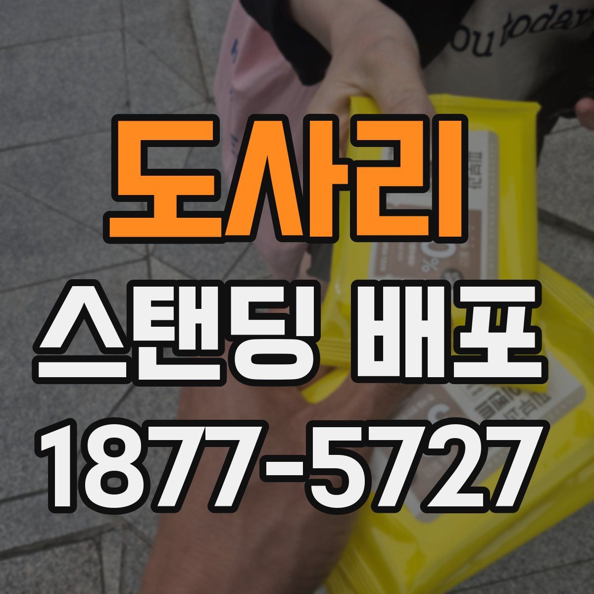 도사리 스탠딩 배포