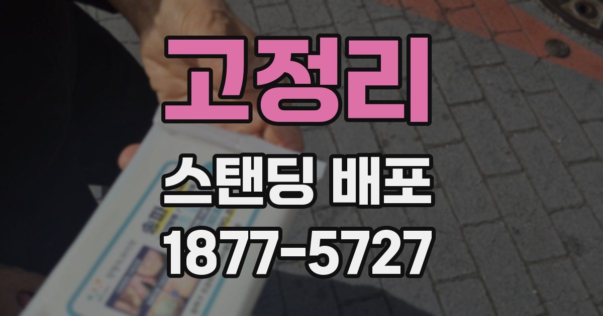 고정리 스탠딩 배포