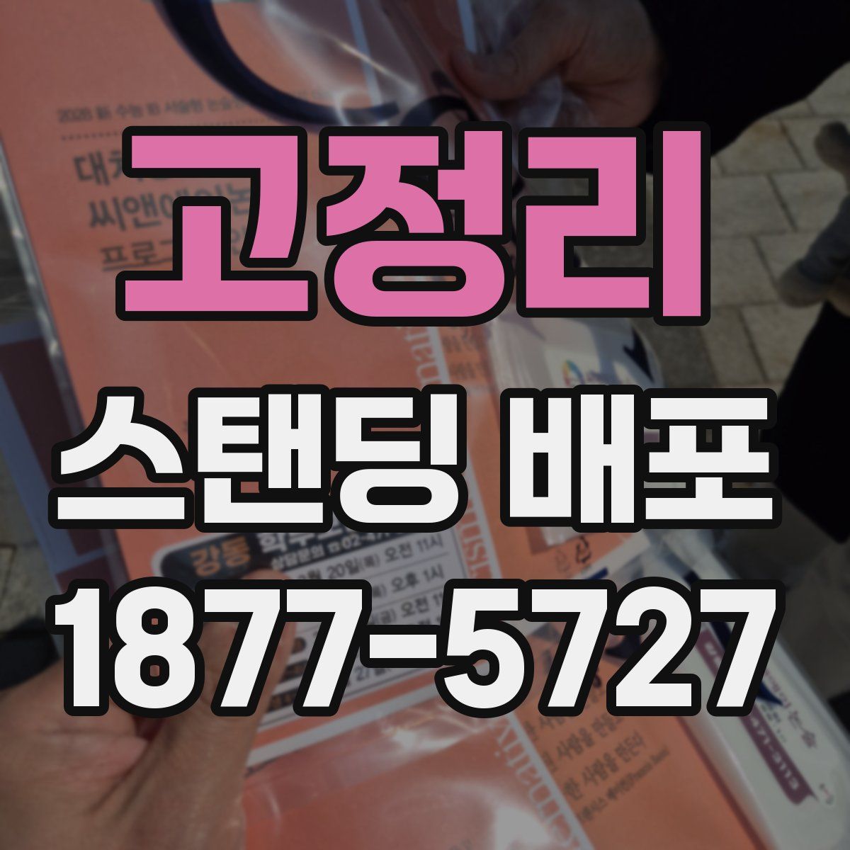 고정리 스탠딩 배포
