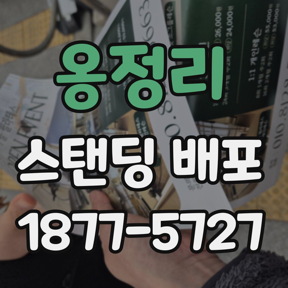옹정리 스탠딩 배포