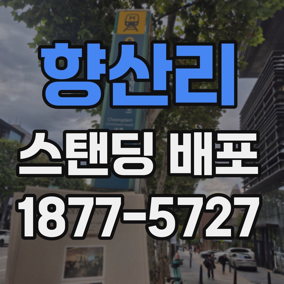향산리 스탠딩 배포