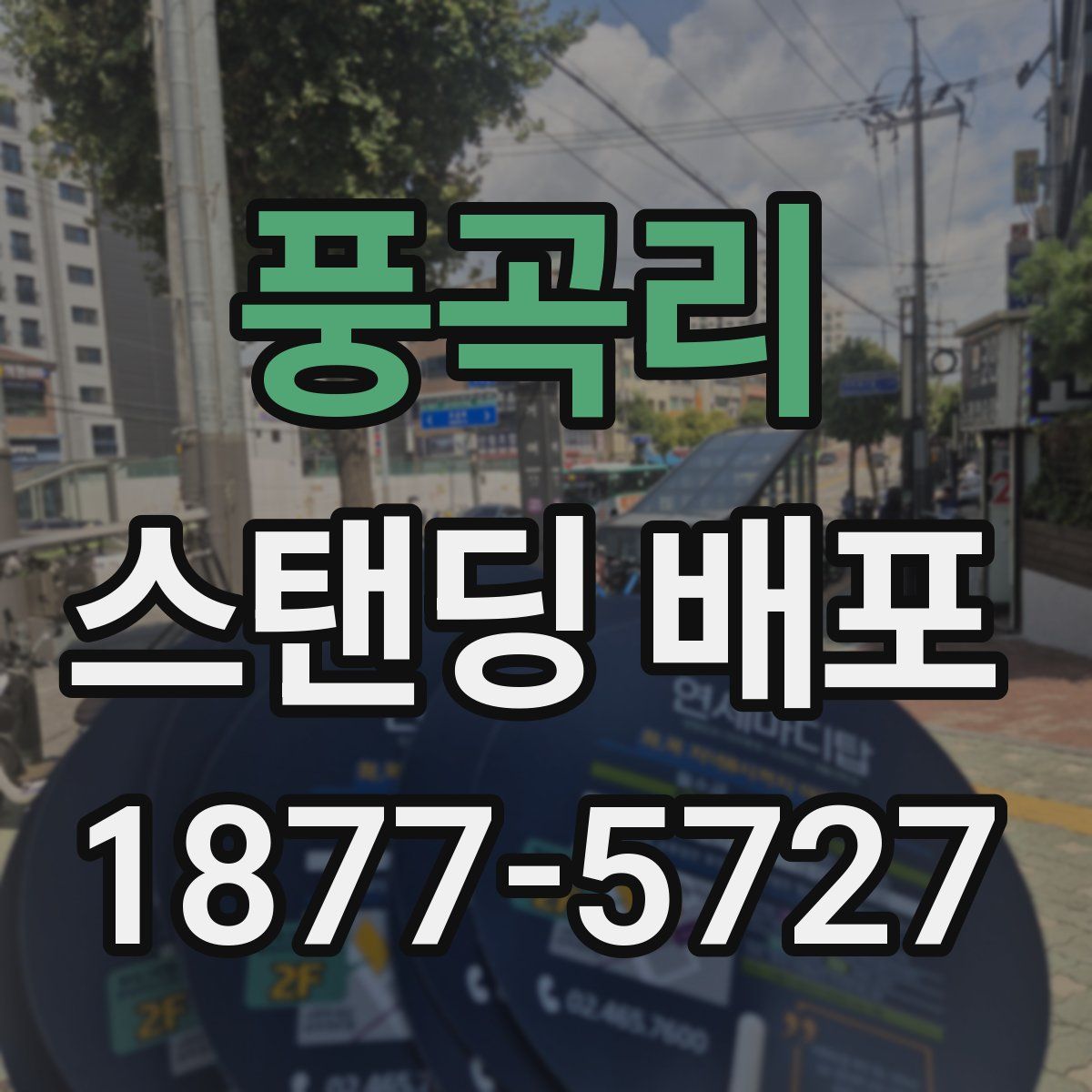 풍곡리 스탠딩 배포