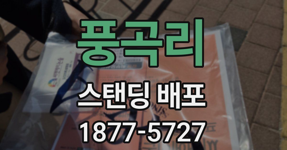 풍곡리 스탠딩 배포