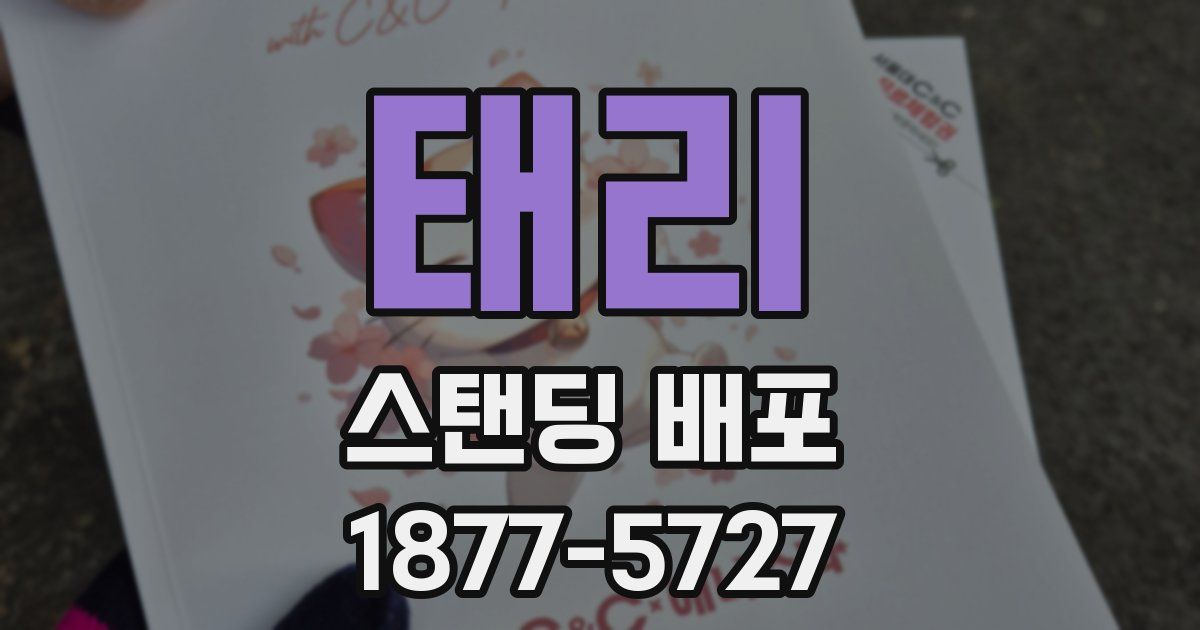 태리 스탠딩 배포