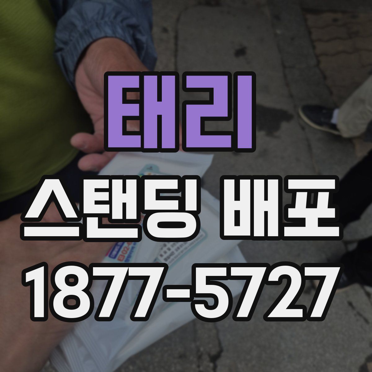 태리 스탠딩 배포