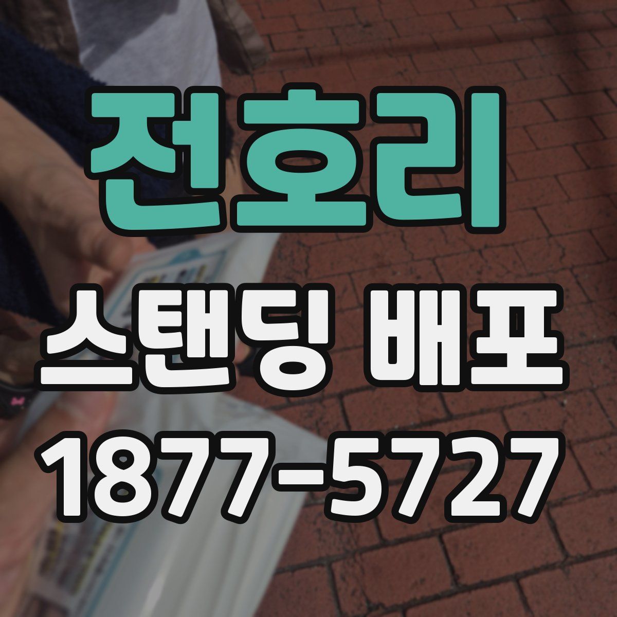전호리 스탠딩 배포