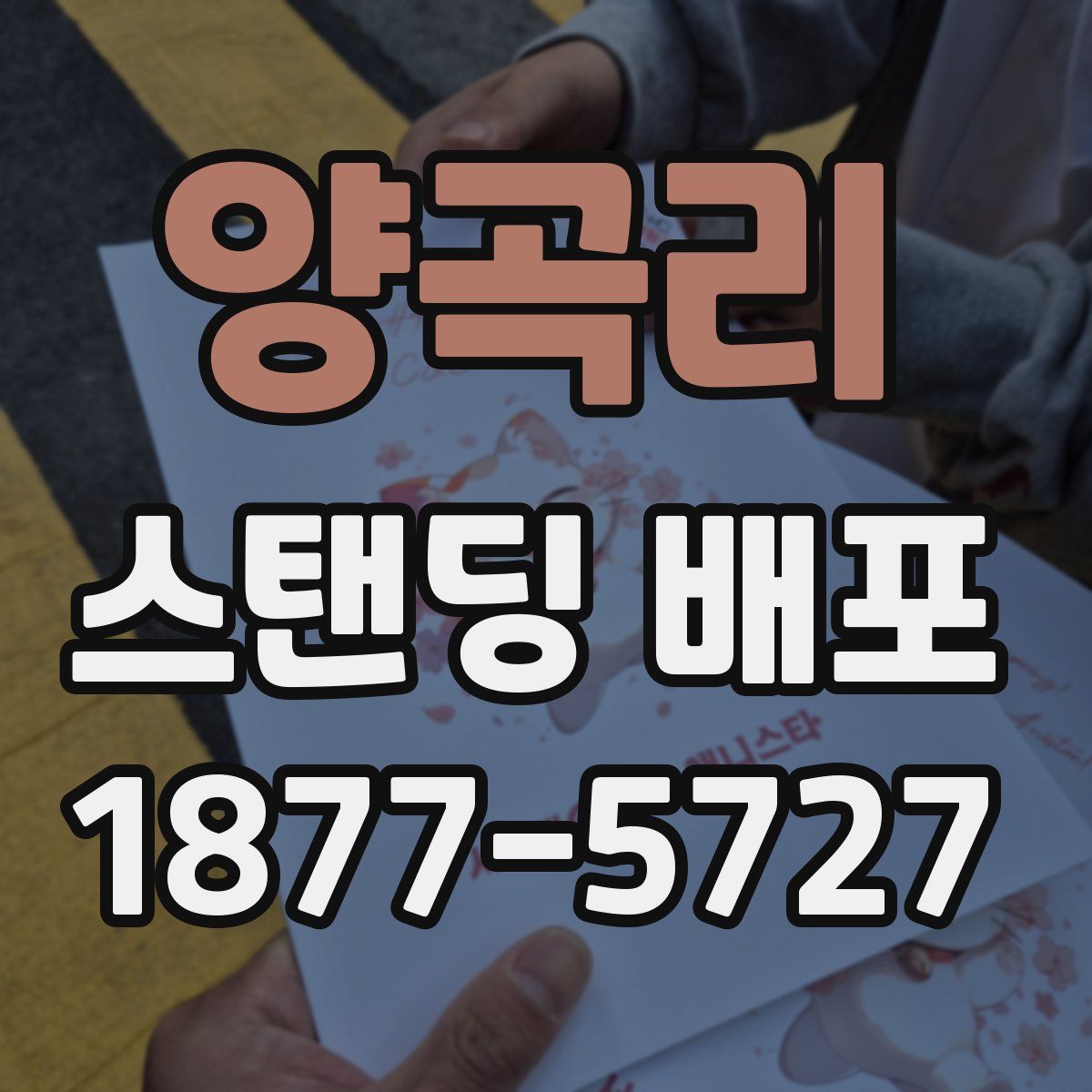양곡리 스탠딩 배포