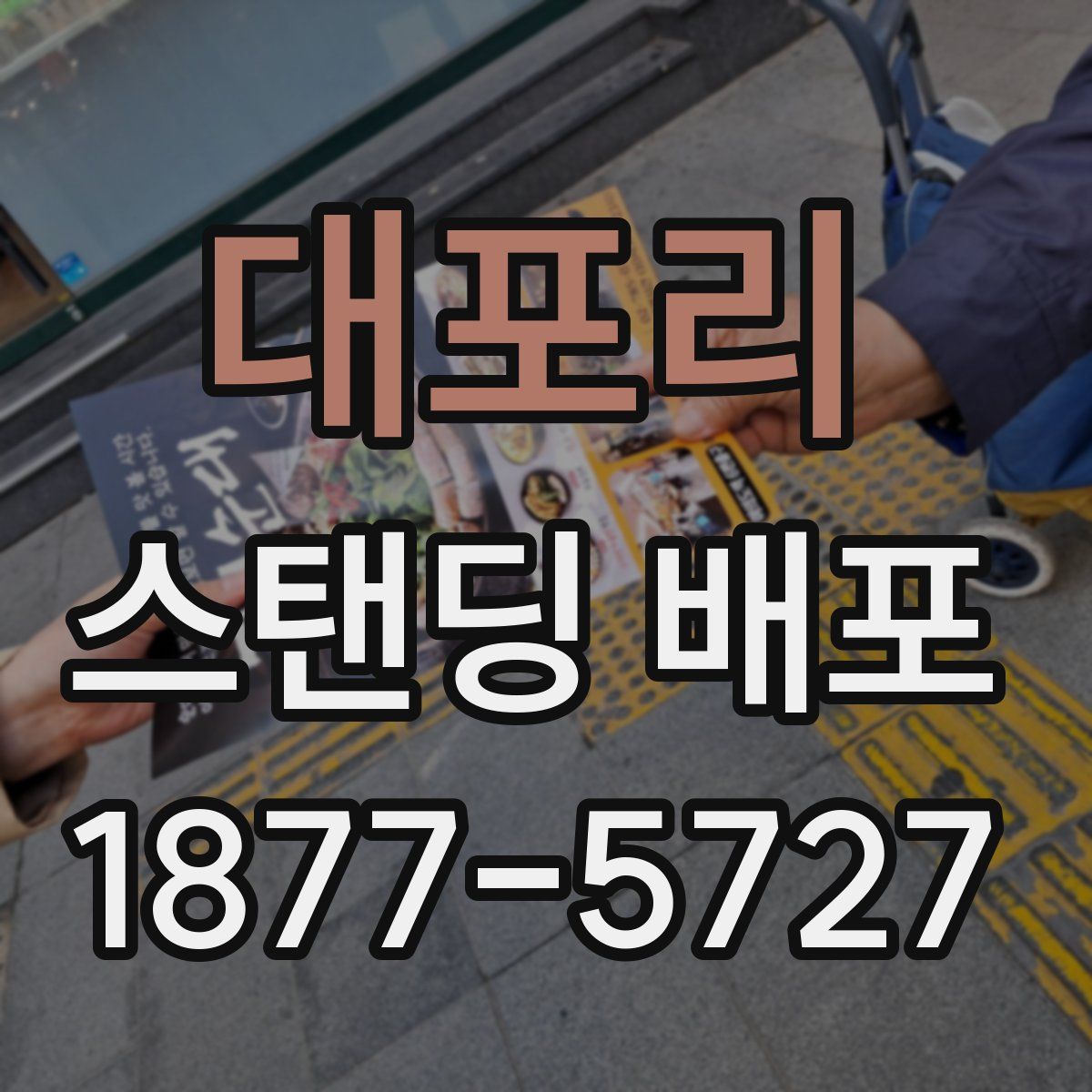 대포리 스탠딩 배포