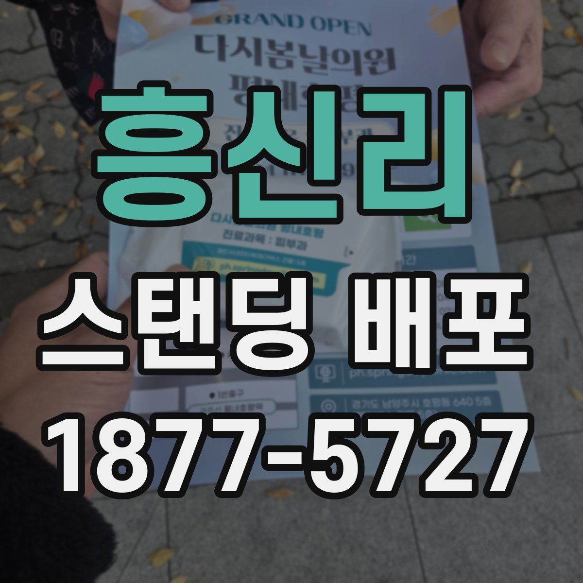 흥신리 스탠딩 배포