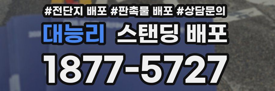 대능리 스탠딩 배포