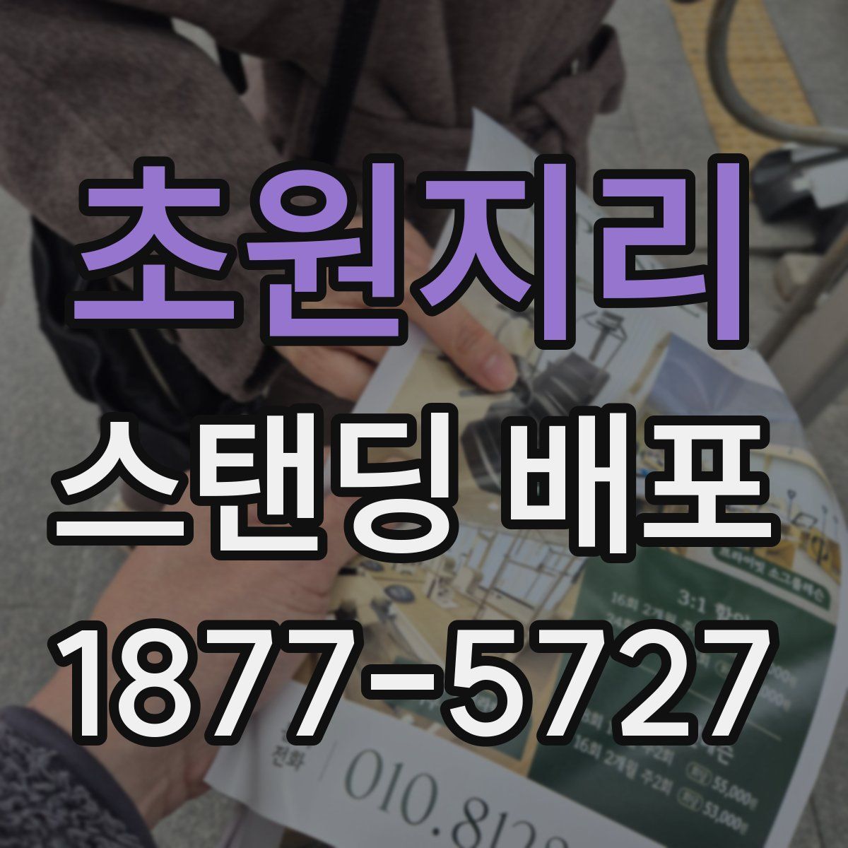 초원지리 스탠딩 배포