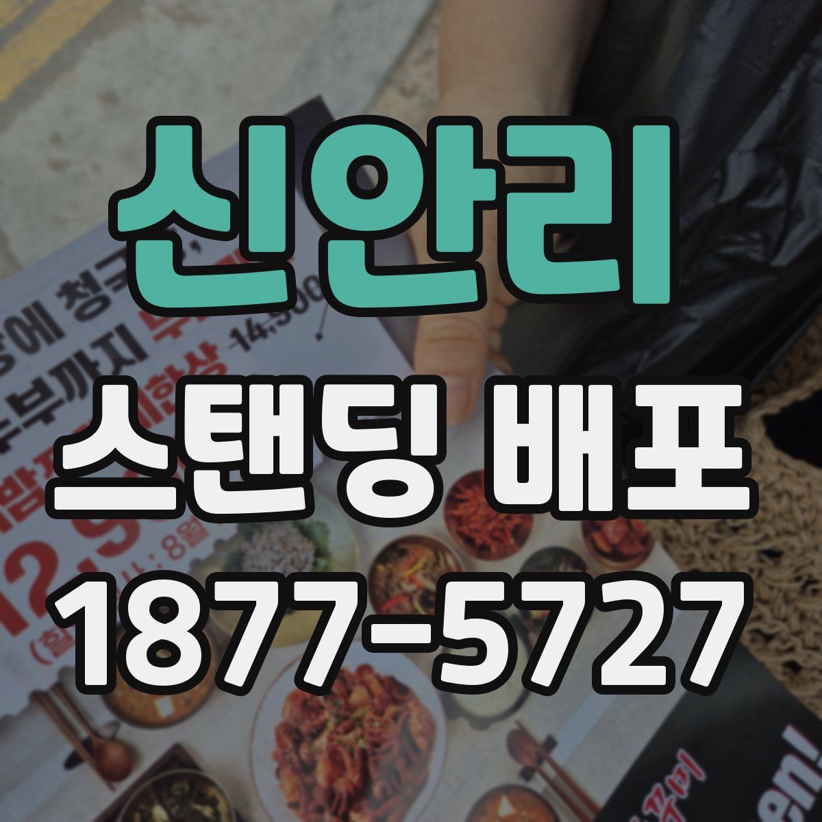 신안리 스탠딩 배포
