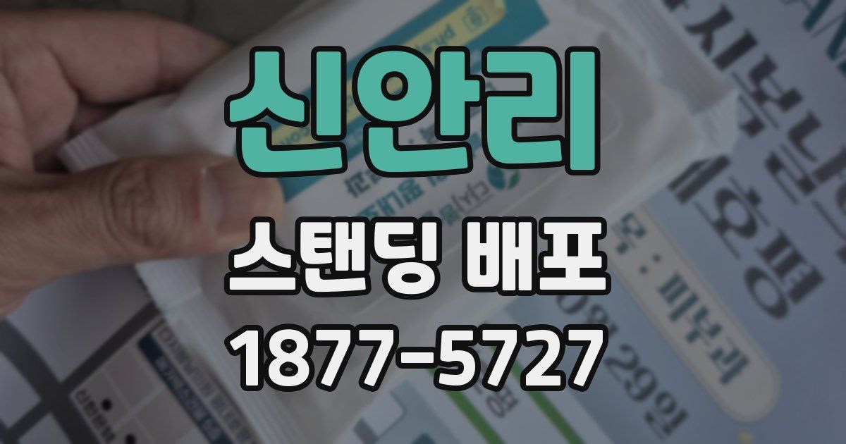 신안리 스탠딩 배포