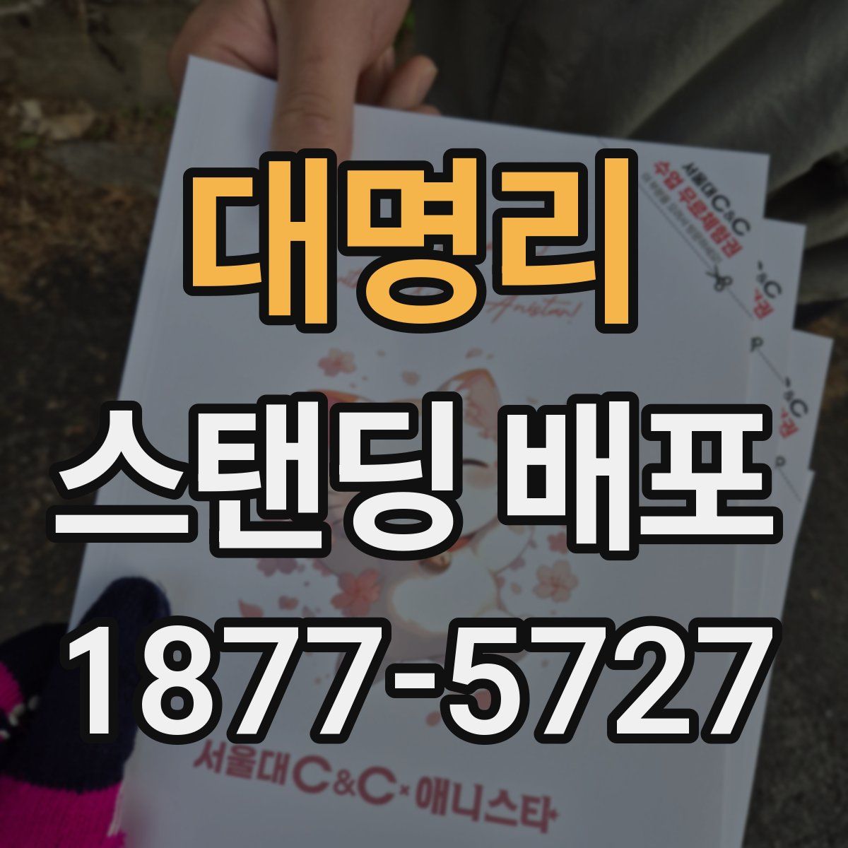대명리 스탠딩 배포