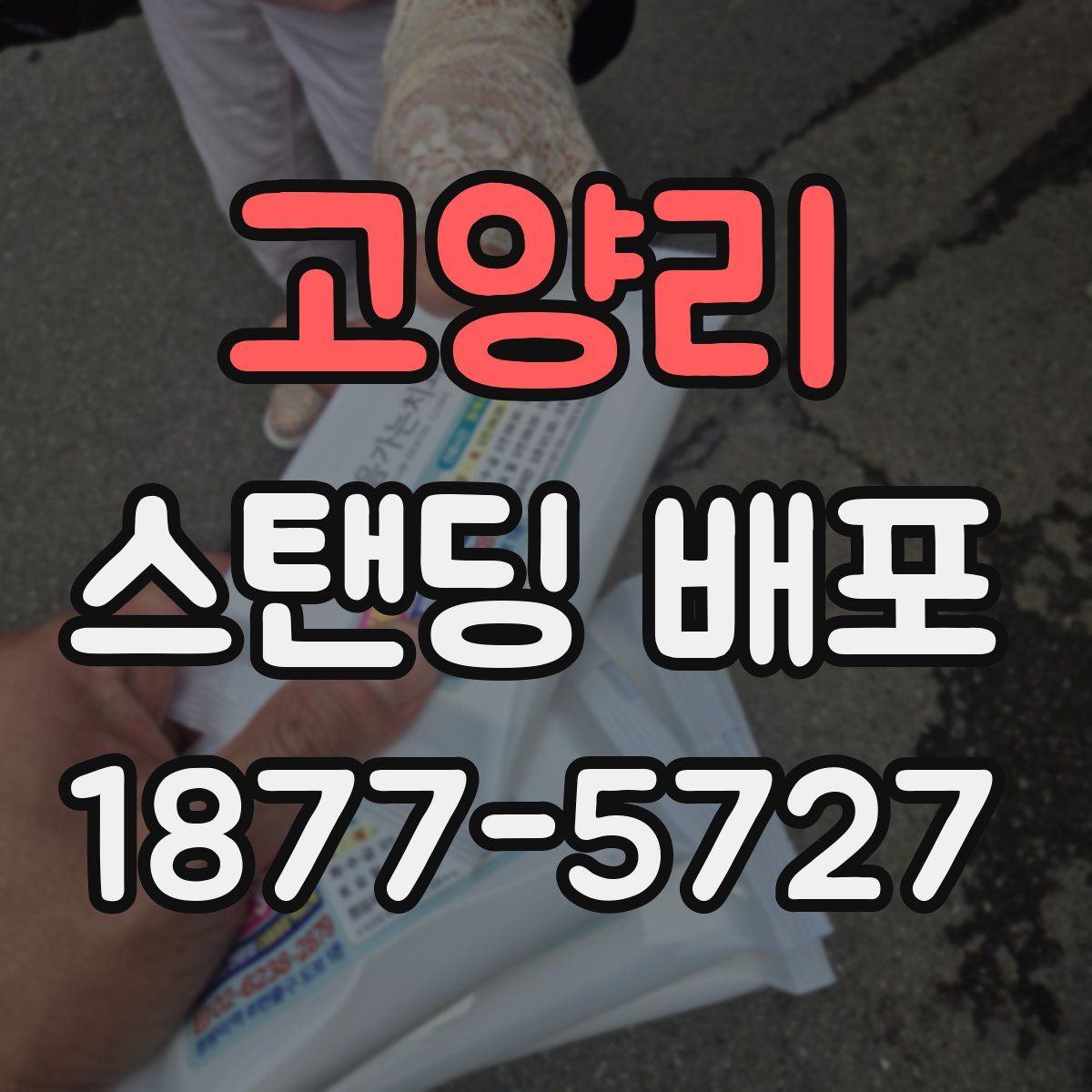 고양리 스탠딩 배포