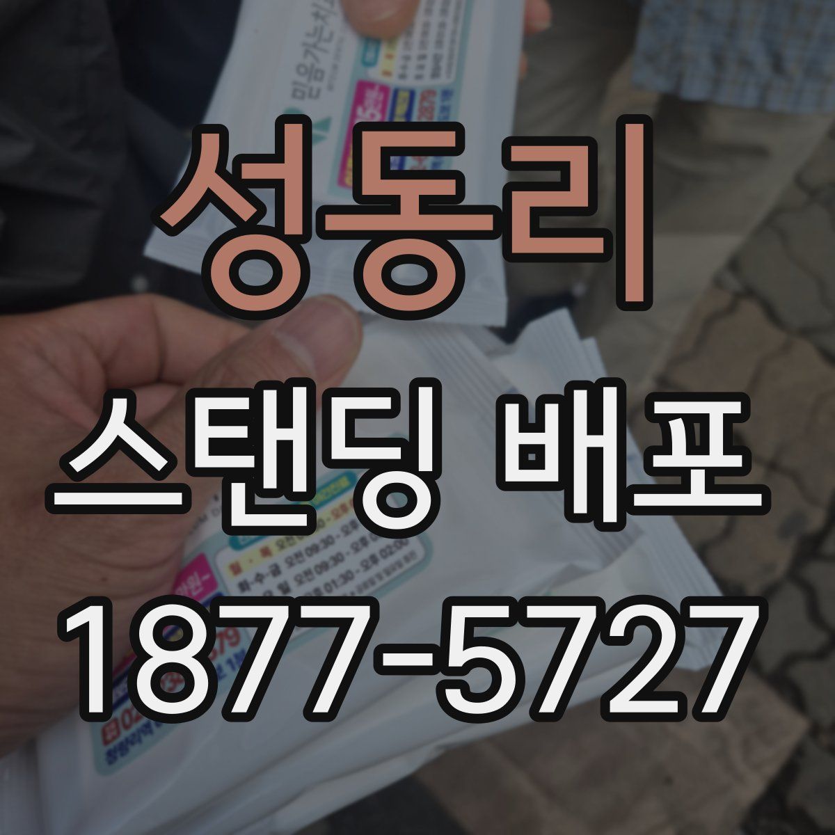 성동리 스탠딩 배포