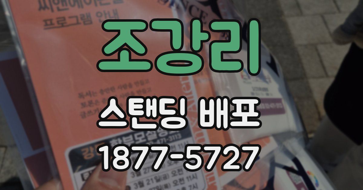 조강리 스탠딩 배포