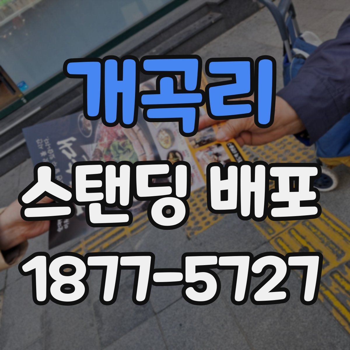 개곡리 스탠딩 배포