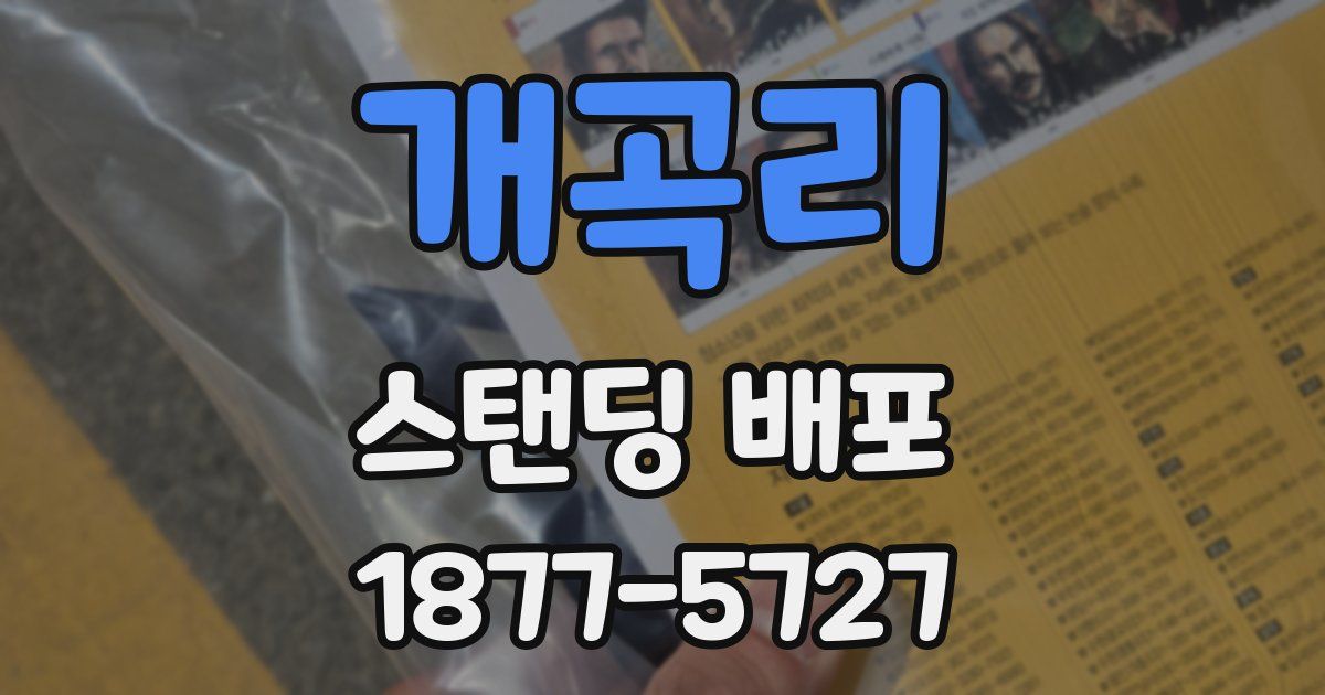 개곡리 스탠딩 배포