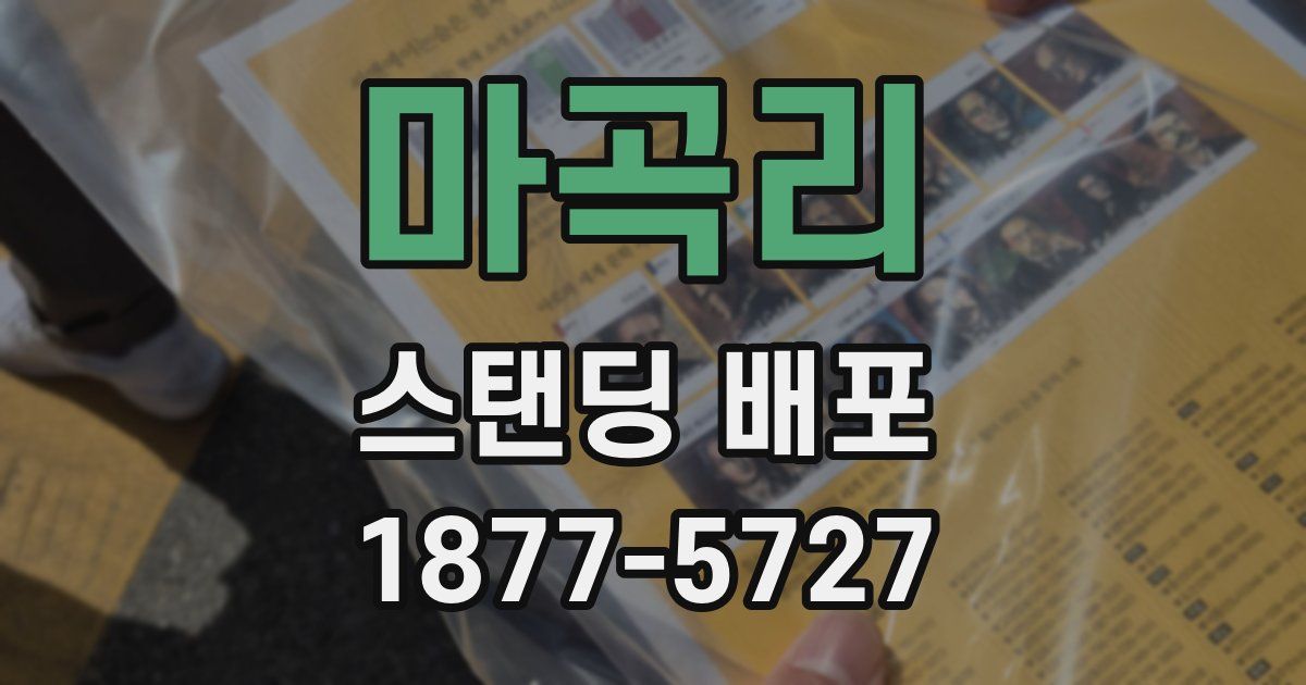 마곡리 스탠딩 배포