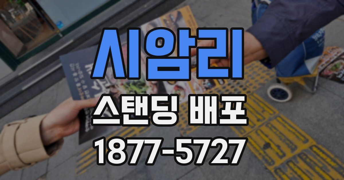 시암리 스탠딩 배포