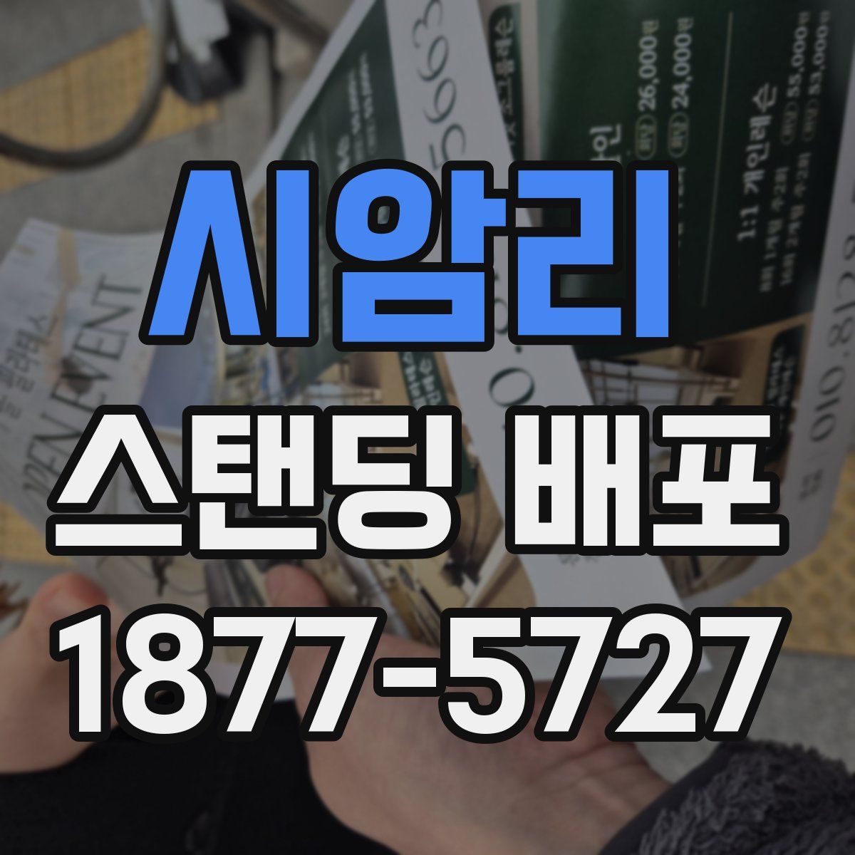 시암리 스탠딩 배포