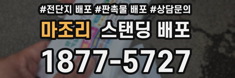 마조리 스탠딩 배포