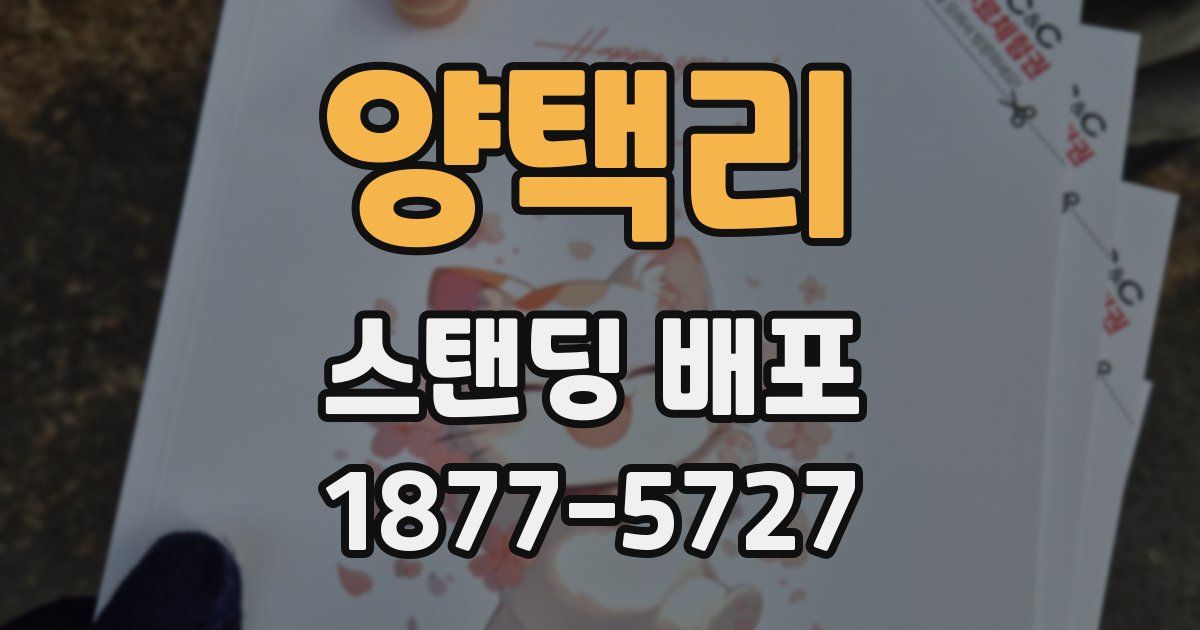 양택리 스탠딩 배포