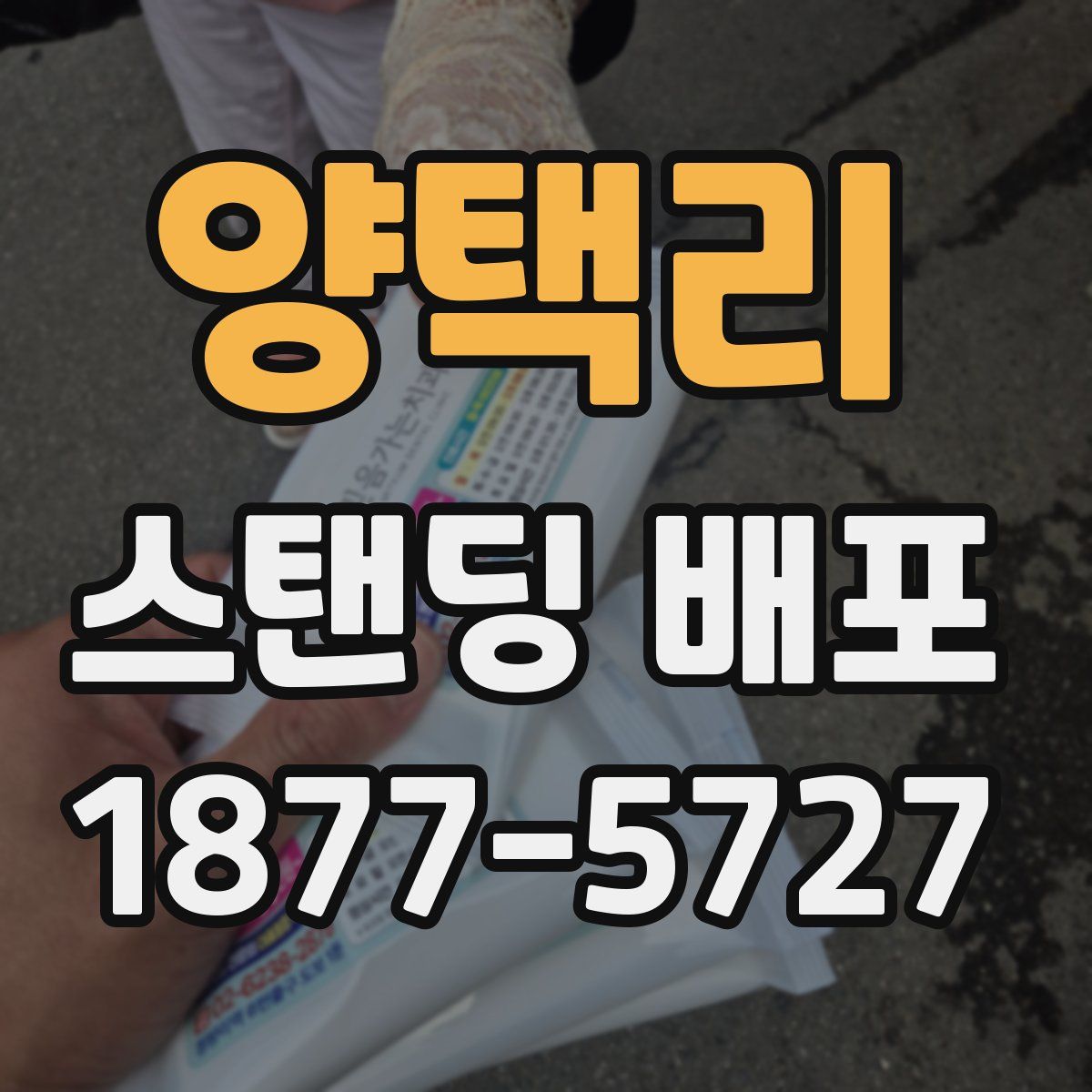 양택리 스탠딩 배포