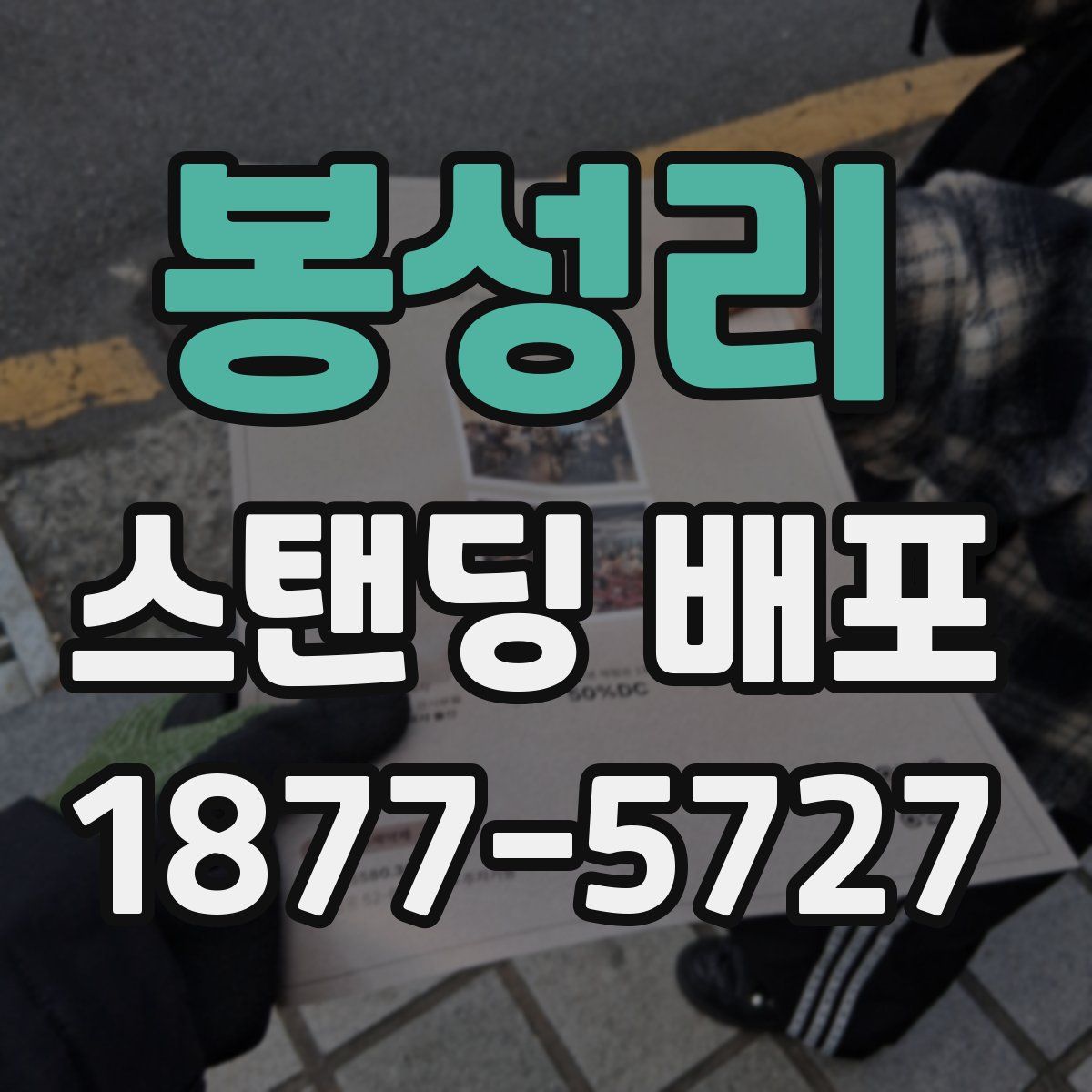 봉성리 스탠딩 배포
