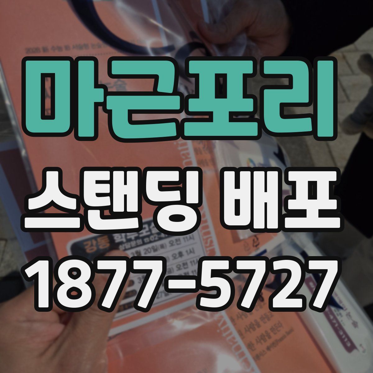 마근포리 스탠딩 배포