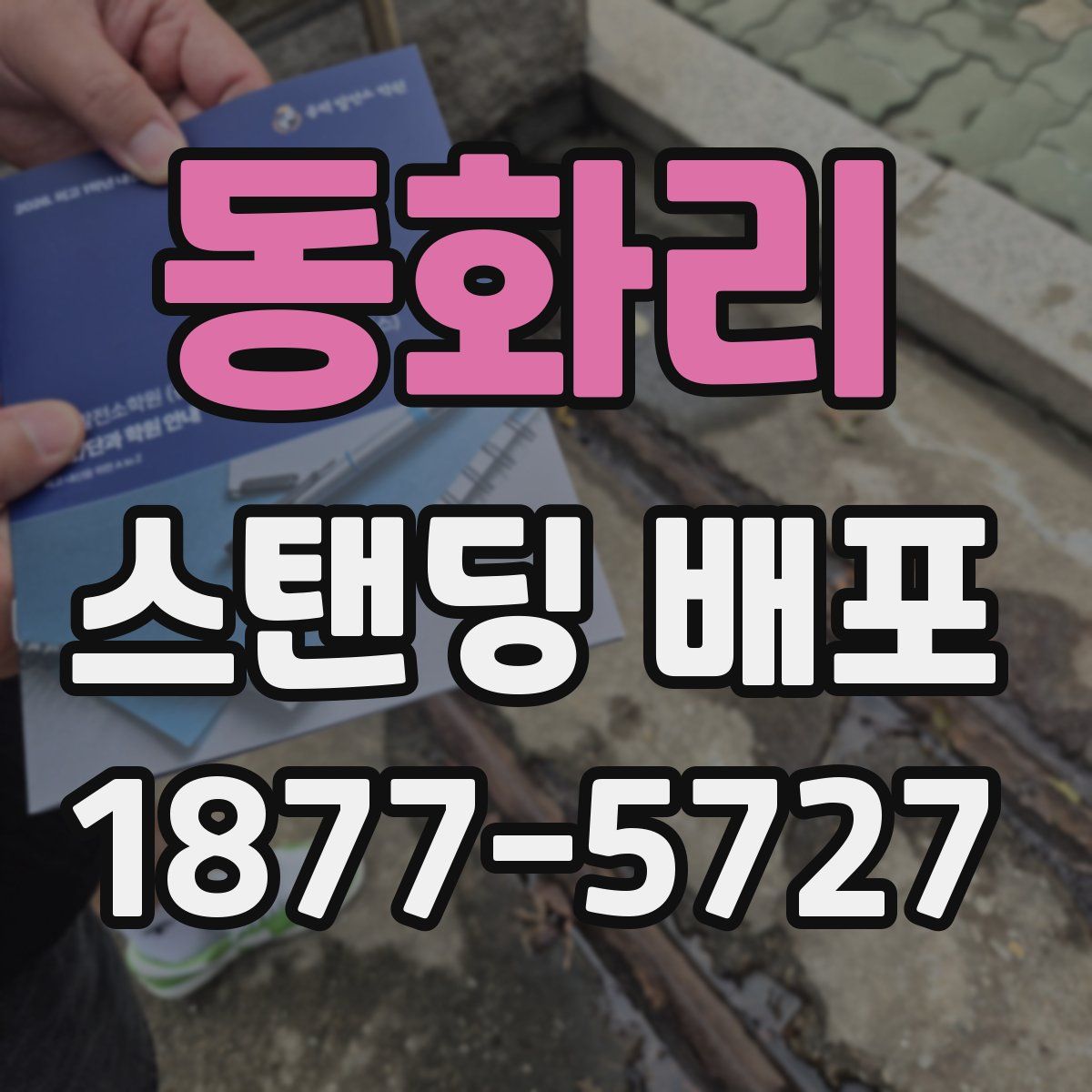 동화리 스탠딩 배포