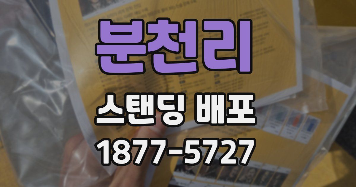 분천리 스탠딩 배포