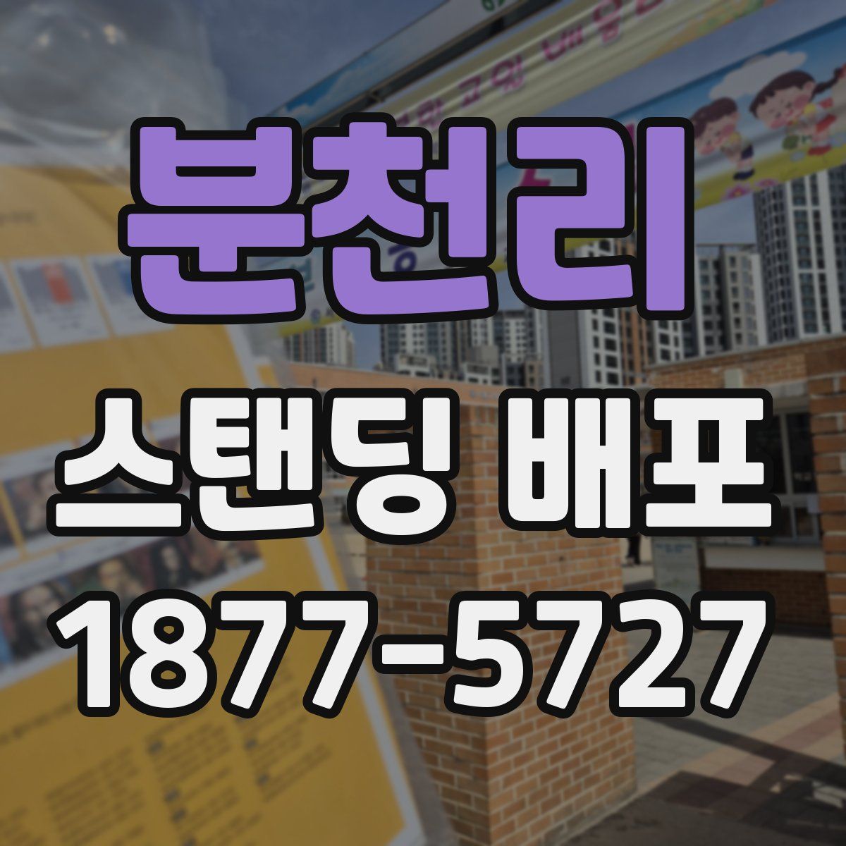 분천리 스탠딩 배포