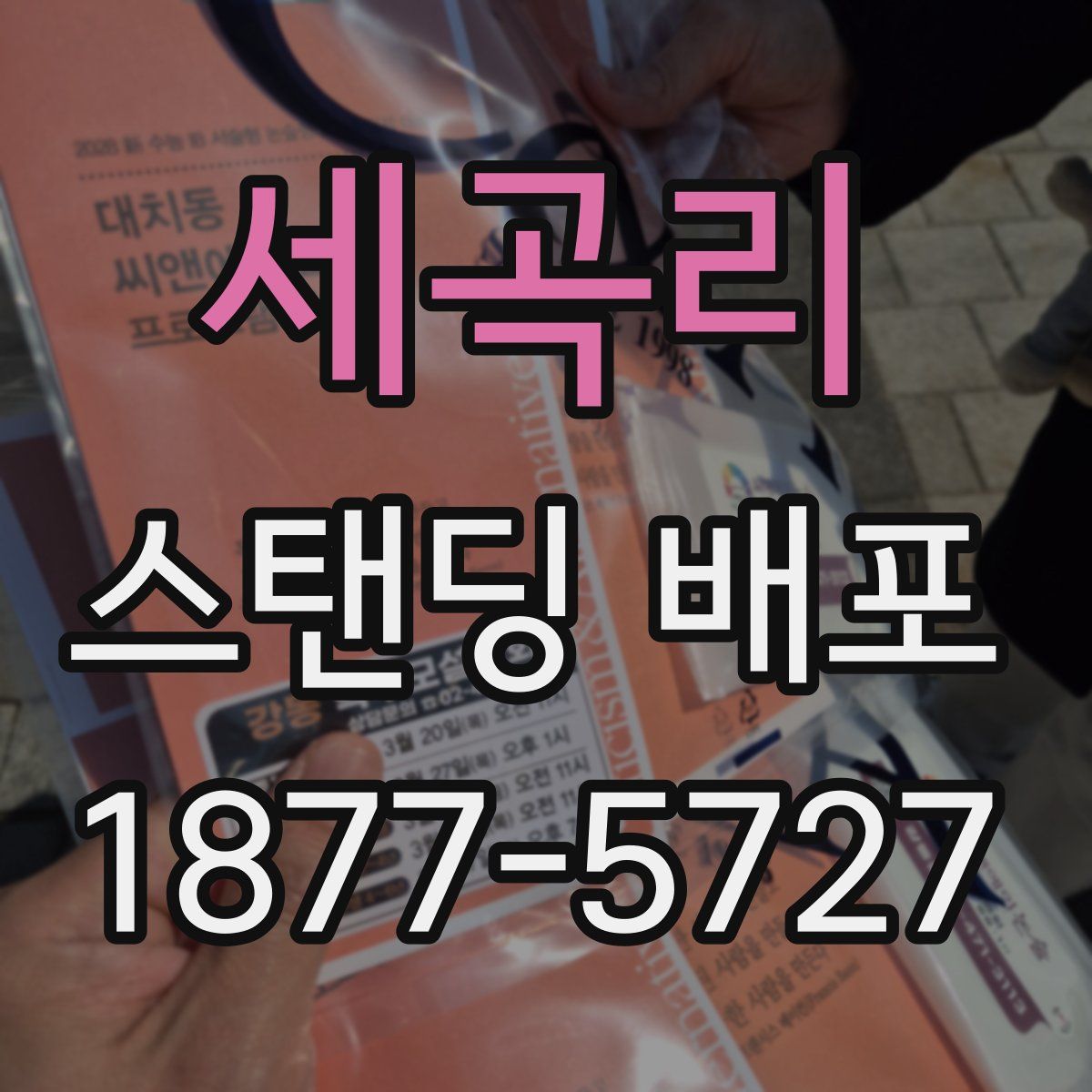 세곡리 스탠딩 배포