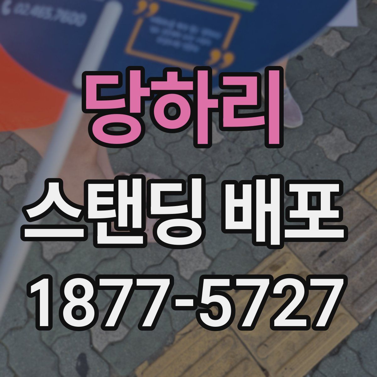당하리 스탠딩 배포