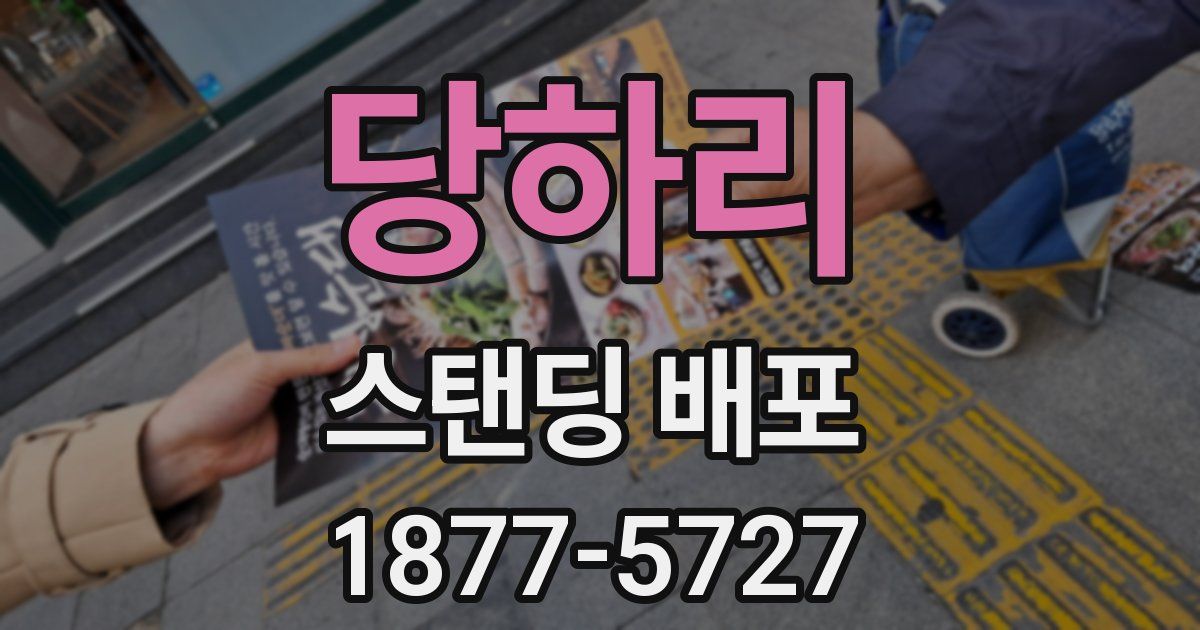 당하리 스탠딩 배포
