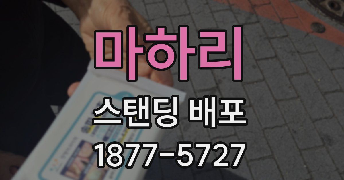 마하리 스탠딩 배포