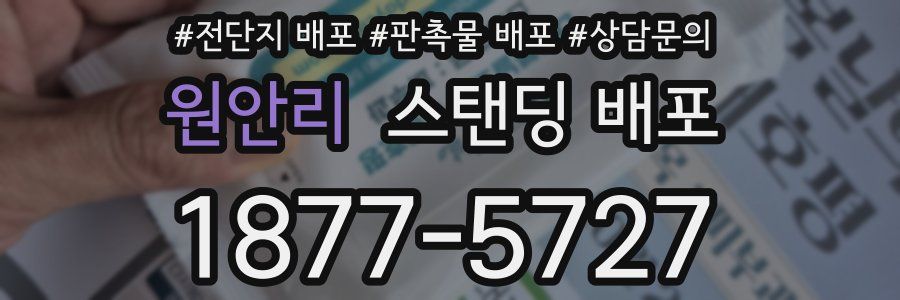 원안리 스탠딩 배포