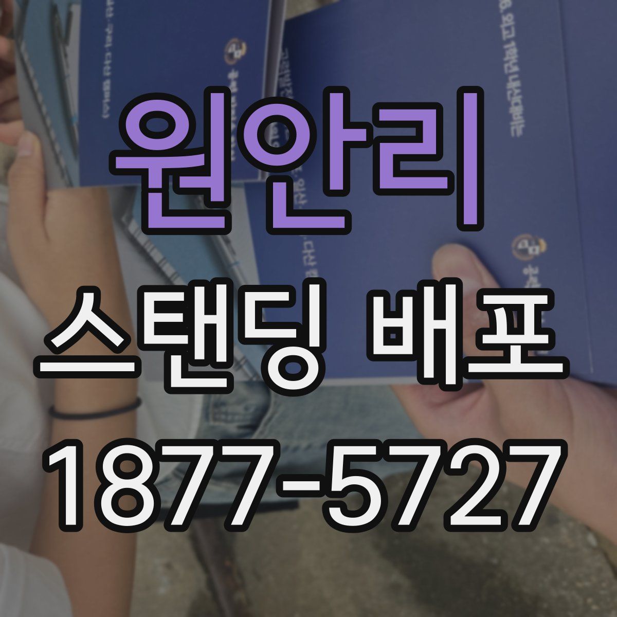 원안리 스탠딩 배포
