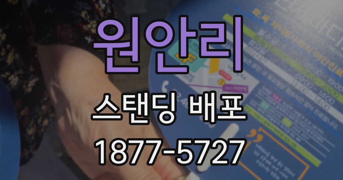 원안리 스탠딩 배포